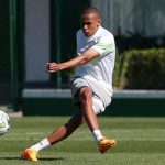 Jhon Jhon Palmeiras
