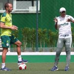 Marcelo Lomba. Foto: Cesar Greco/Palmeiras